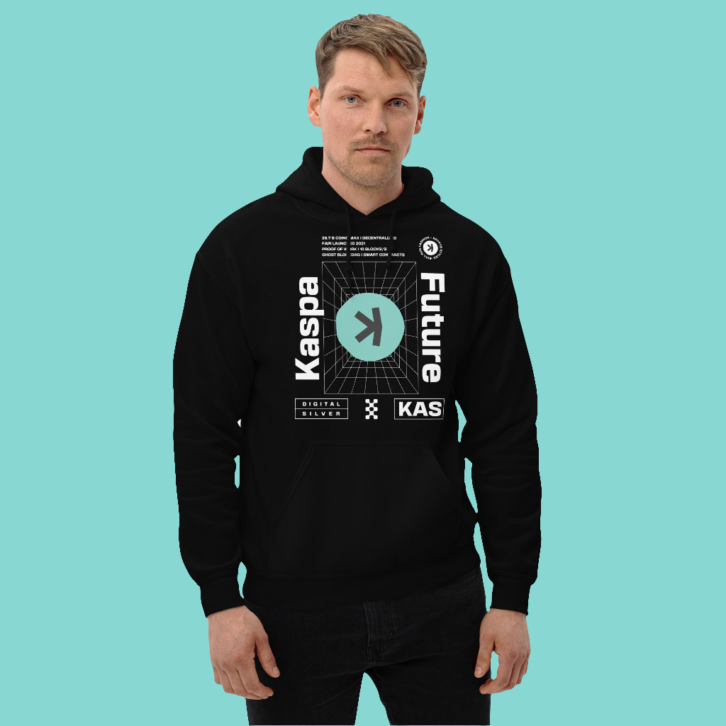 Hoodie Kaspa Future Digital Silver Kapuzenpullover Blockchain BTC Krypto Geschenk Männer Frauen Unisex