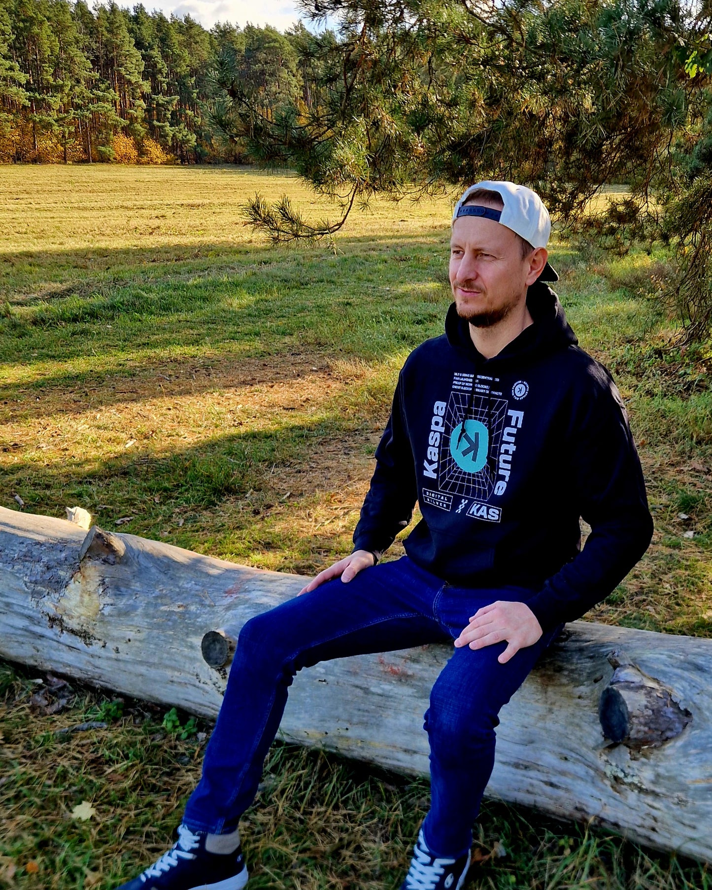 Hoodie Kaspa Future Digital Silver Kapuzenpullover Blockchain BTC Krypto Geschenk Männer Frauen Unisex